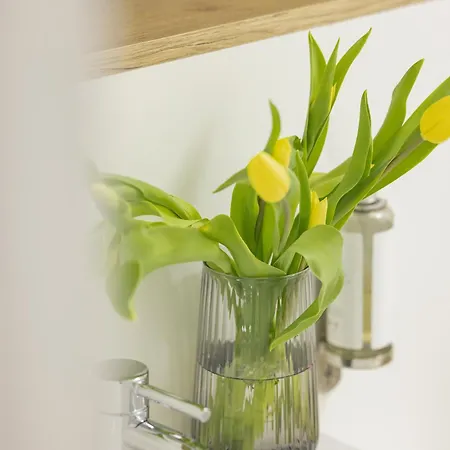 Pinea Blue 113 - Tuz Przy Plazy, Z Widokiem Na Morze, Parkingiem I Wifi W Cenie Pobytu - Easy - Rent Lejlighed *